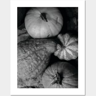 Gourds Posters and Art